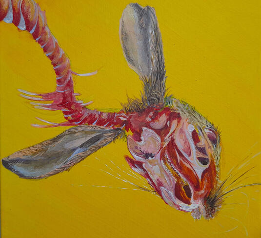 The Hare (2023)